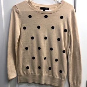 Banana Republic Polka Dot sweater